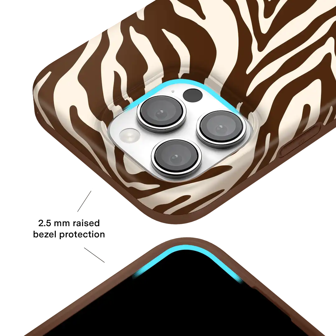 Coco Zebra iPhone Case